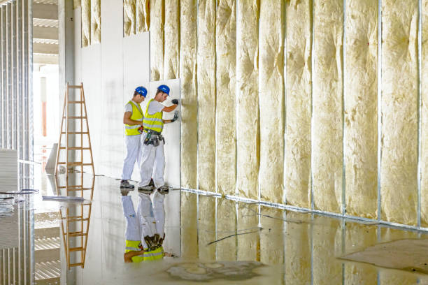 Best Insulation Installation Services in Selmer, TN